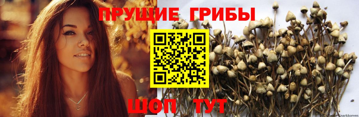 Галлюциногенные грибы мухоморы  Вход с VPN  Новоуральск 